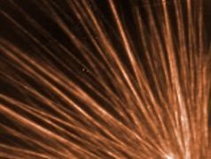 single_wall_carbon_nanotube