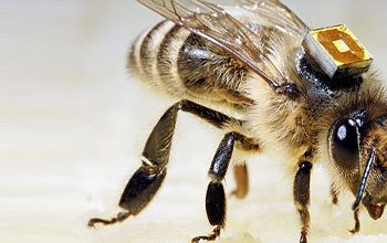 article-0-01C2159D00000578-475_468x291