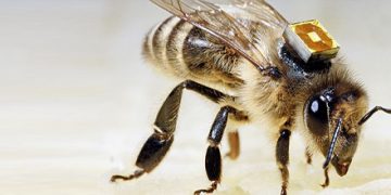 article-0-01C2159D00000578-475_468x291