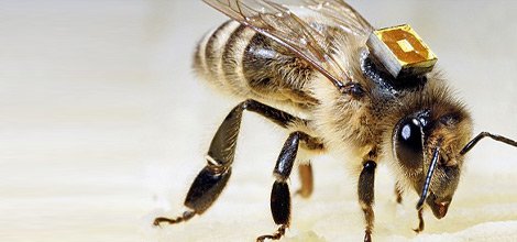 article-0-01C2159D00000578-475_468x291