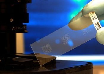 שבב ביולוגי. מתוך PIXABAY