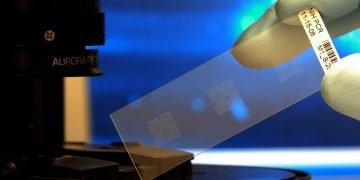 שבב ביולוגי. מתוך PIXABAY