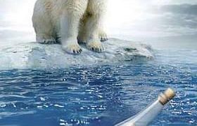 polar_bear_help