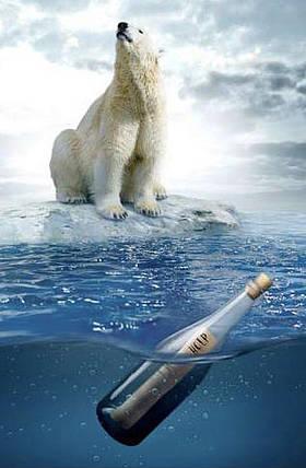 polar_bear_help