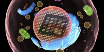 elecronoc_mimic_living_cells