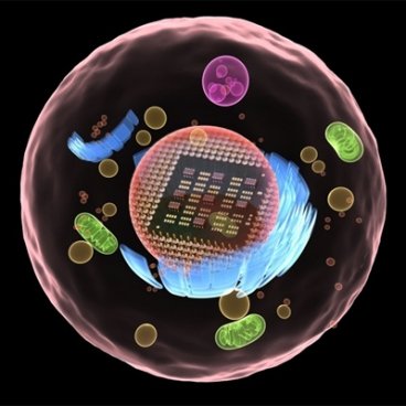 elecronoc_mimic_living_cells