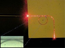 kobi_sheuers_plastic_switch