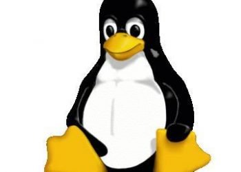 linux_pinguin