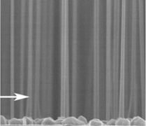 nanowire