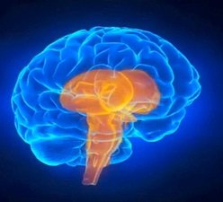 ibm_cognitive_chips_synapse