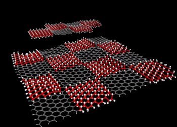 graphene_rice