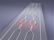 quantom_photonic_chip
