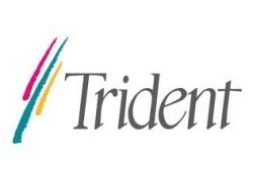 Trident-Microsystemslogo