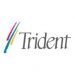Trident-Microsystemslogo
