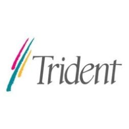Trident-Microsystemslogo