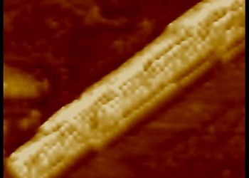 supermolecular_fiber