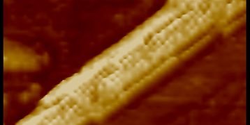 supermolecular_fiber