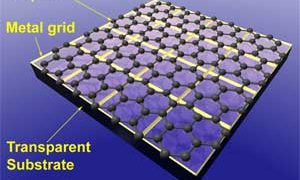 TRANSPARENT_Illustration