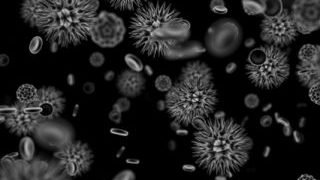 biological-internet-or-bi-fi-means-greater-cellular-communication_content_Virus-Cell-Communication