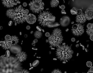 biological-internet-or-bi-fi-means-greater-cellular-communication_content_Virus-Cell-Communication