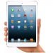 ipad-mini