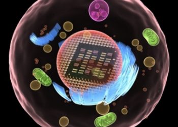 elecronoc_mimic_living_cells