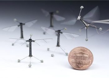 robobee-harvard