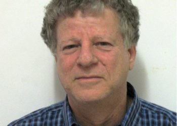 AVI-MENDELSON
