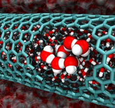 Goddard_CNT_spotlight_medium