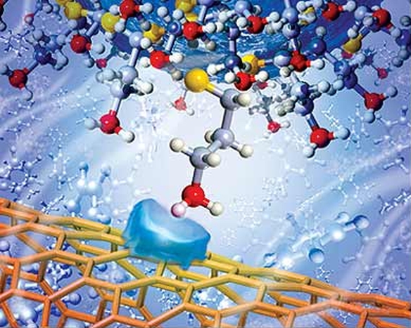 nano_interaction_2LLNL