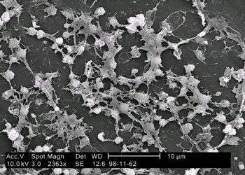IBM_NANOGEL