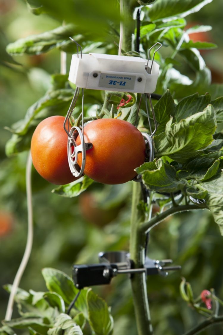 MIXIII-PHYTEC-DONITZA