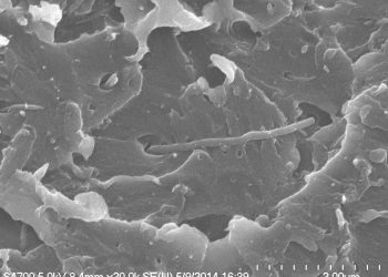 New_Ultra-Strong_Polymer_Reinforced_with_Carbon_Nanotubes