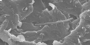 New_Ultra-Strong_Polymer_Reinforced_with_Carbon_Nanotubes