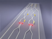 quantom_photonic_chip