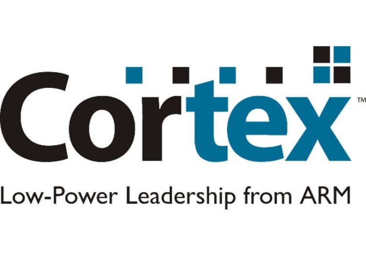 Cortex