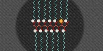 Dual-Imaging-500x2471