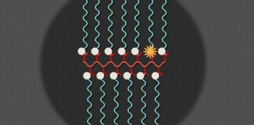 Dual-Imaging-500x2471