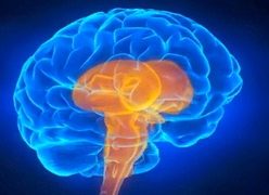 ibm_cognitive_chips_synapse