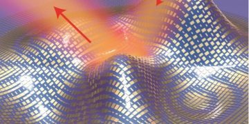 Xiang-Zhang-image-for-cloak1-500x3881