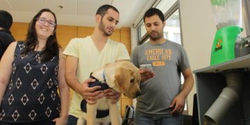 19246254205_580dbccf8e_k1-500x3331