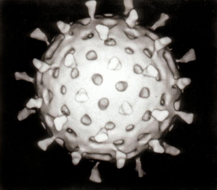 Rotavirus_Reconstruction1