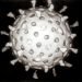 Rotavirus_Reconstruction1