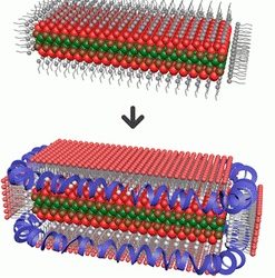 IMAGING_CHIP