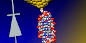 Cover-Graphics_joni1