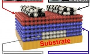 Figure20120No20Labels1