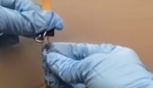 FLEXIBLE_INSULATOR_SQARE