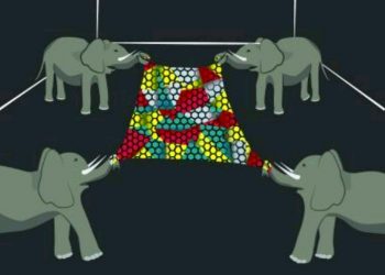 elephand_grapene