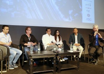 china panel developex 2017