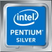 Pentium Silver badge